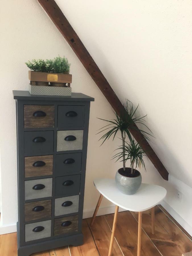 Apartment L'ours Colmar