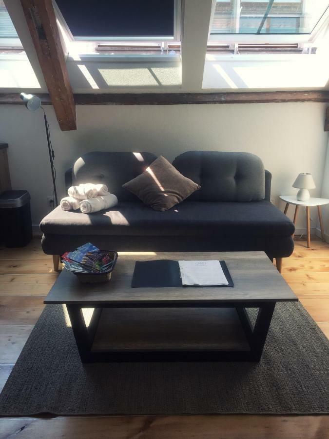 Apartment L'ours Colmar